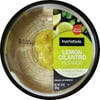 Marketside Lemon Cilantro Hummus 10 Oz