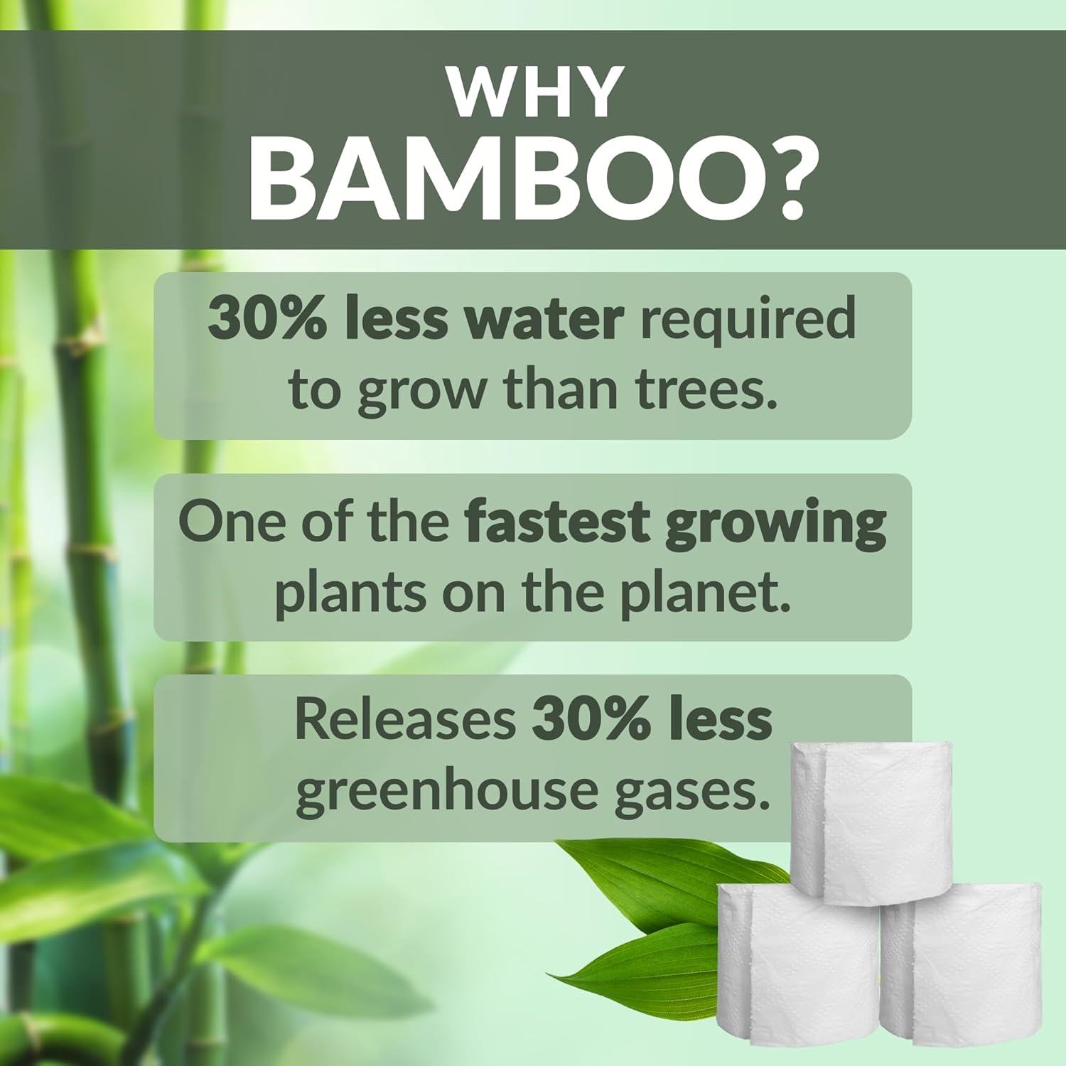 Bamboo (12 Jumbo Rolls) | 3 Ply (350 Sheets/Roll) Bathroom Tissue | Organic Bath Tissue | Bamboo Chemical Free Rolls (4200 Sheets Total)