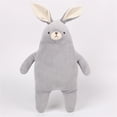 thumbnail image 2 of PHENAS Plush Bunny Stuffed Animal Toy Super Soft Easter Rabbit Plush Toy for Girls and Boys Easter Birthday Gift, 2 of 4