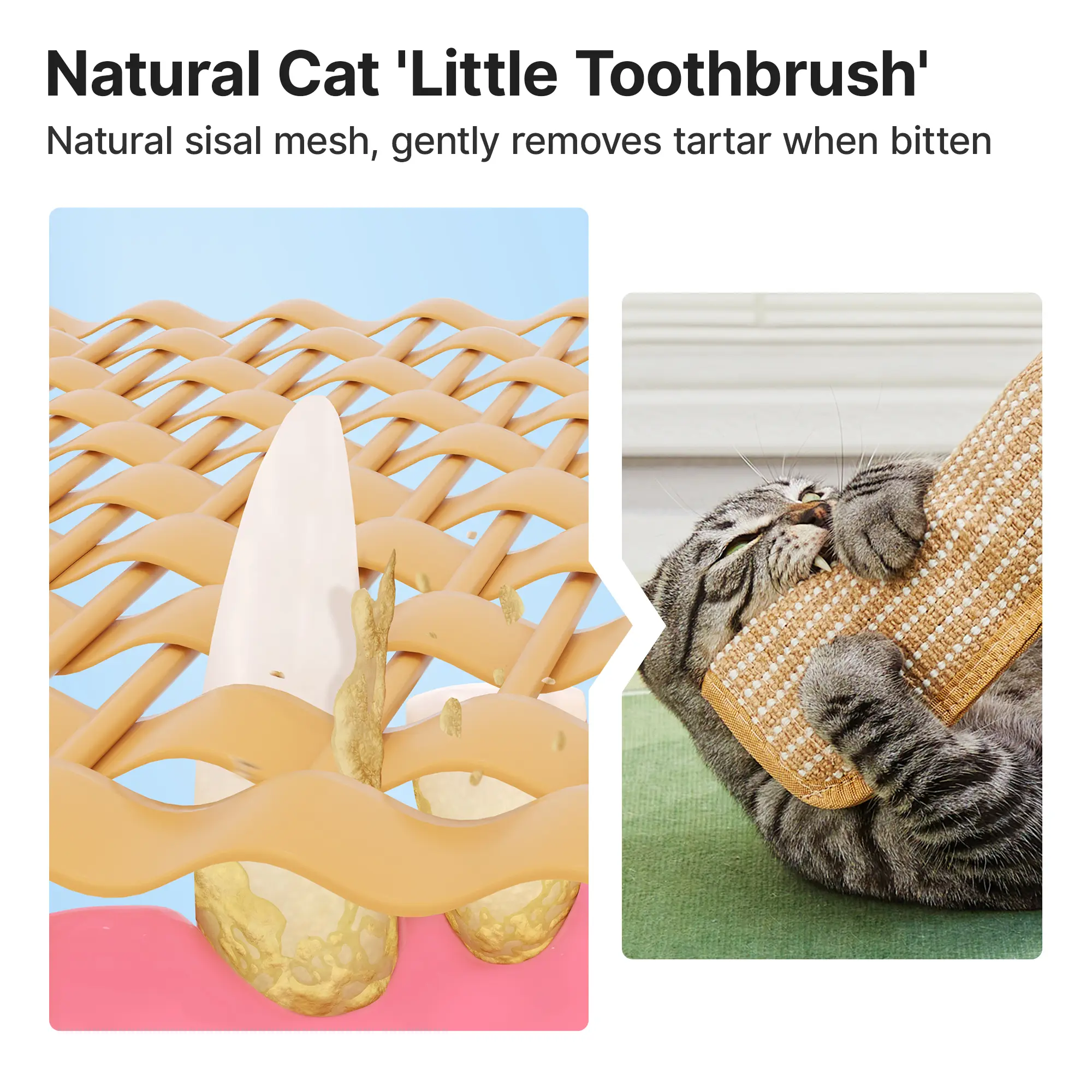 Potaroma Interactive Catnip Chew Toy with [6000mg A+ Organic Catnip], Soft Sisal Material Scratching and Kicker Cat Toys for Indoor Kittens, Drives Bored Cats Crazy with Fun #SummerVibes #petlovers