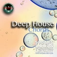 thumbnail image 4 of Deep House MEGA Bundle Part 1 - 10 Large Essential WAVE Samples/Loop Studio Libraries. Download library!, 4 of 11