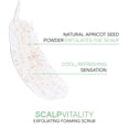 thumbnail image 5 of Joico Scalp Vitality Exfoliating Foaming Scrub 6 oz, 5 of 7
