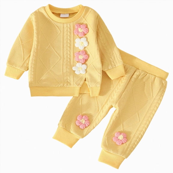 yboeqw Baby Girl Fall Clothes Cute Embroidery Long Sleeve Sweatshirt Casual Jogger Pants Set Toddler Winter Outfits 6-24 Months 2T 3T 4T,Size 3-6 Months