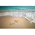 thumbnail image 2 of Two Starfish Beach Wall Mural by Wallmonkeys Peel and Stick Graphic (18 in W x 12 in H) WM143625, 2 of 4