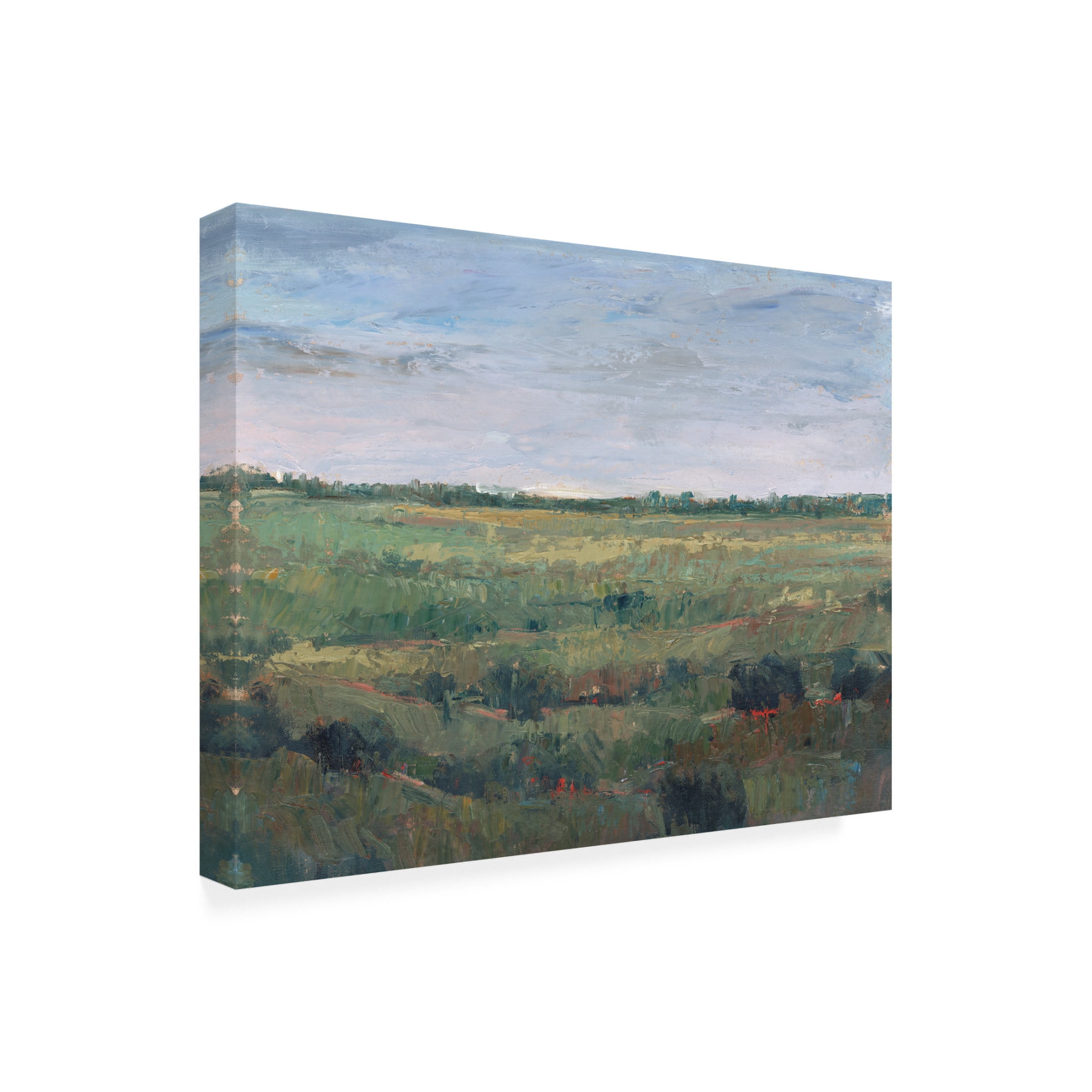 Canvas Wall Art - Tim OToole 'Field Study I' Wall Art for Living Room, Bedroom, or Office Décor by Trademark Fine Art - 19 x 14 Inches