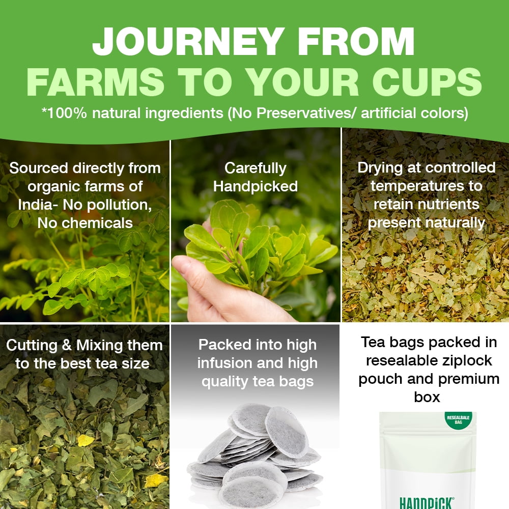 HANDPICK Organic Moringa Tea Bags (100 Count), Pure Moringa Leaves | Authentic Indian Origin