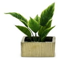 thumbnail image 3 of Ceramic Square Vases - 8" Wide, 4" Tall - Modern Floral Planters, Terrarium Pots - Set of 6, 3 of 3
