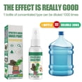thumbnail image 4 of Restaurador instantáneo de la salud de las plantas: potenciador del color verde para plantas enfermas, spray revitalizante para el jardín, 4 of 8