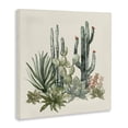 thumbnail image 2 of Stupell Industries Bohemian Mojave Green Succulents Canvas Art, 17 x 17, by Nan, 2 of 7
