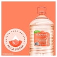 thumbnail image 2 of Agua Bonafont natural 10 l, 2 of 4