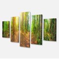 thumbnail image 2 of Dense Forest Panorama - Impression sur Toile Paysage, 2 of 3