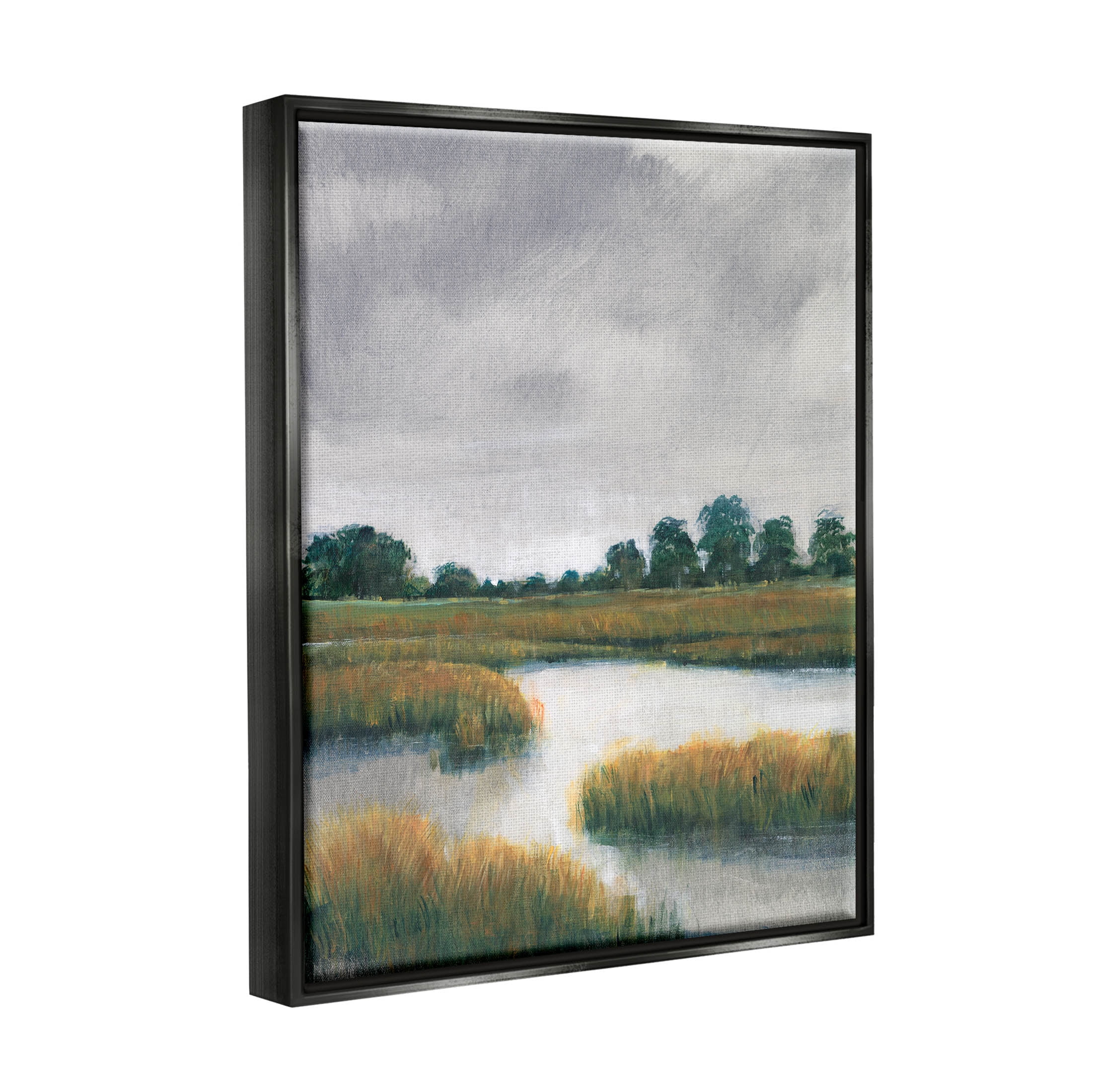 Stupell Industries Cloudy Rural Marsh Landscape Painting Jet Black Floating Framed Canvas Print Wall Art, Design by Tim OToole