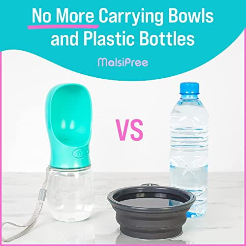 Water bowl vs. bottle – How should I choose for my dog?