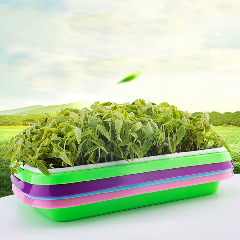 Bcloud Sprouting Tray Holder Soilfree Planter Pot Hydroponic Container