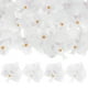 thumbnail image 1 of Paquete de 20 cabezas de flores de orquídea artificial, cabezas de flores de mariposa de seda falsas para decoración [2.76", blanco puro], 1 of 1