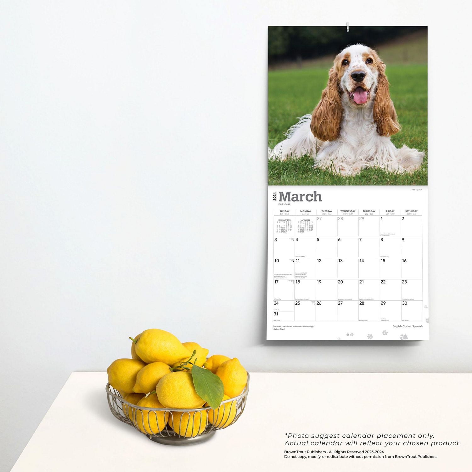 BrownTrout English Cocker Spaniels 2024 12x24 Inch Square Wall Calendar, 9781975467876