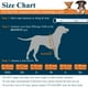 thumbnail image 2 of Chaleco salvavidas para perros VIVAGLORY Ripstop para paseos en bote, color azul, 2 of 7