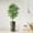 Ficus Tree, variant on Artificial Tree in Modern Geometric Pattern Planter, Fake Bird of Paradise Silk Tree for Indoor and Outdoor Home Decoration - 58" Overall Tall (Plant Pot Plus Tree)