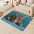 thumbnail image 2 of Cat Area Rugs for Bedroom Living Room - 6x8 ft - Cute Carpet for Home Decor - Cute Patterned Decorative Indoor Large Rug - Washable & Soft & Non Slip & Low Pile (ZL&130), 2 of 6
