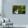 thumbnail image 3 of Natalie Mikaels 'Moment In Nature' Canvas Art, 3 of 4