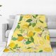 thumbnail image 1 of Balery Lemon Manta de Felpa Suave y Acogedora – Cobija de Franela Aterciopelada para Cama, Lavable y Cálida para Sofá, Mascotas, Transpirable-40"x30", 1 of 7