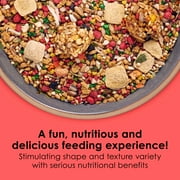 Kaytee Fiesta Parakeet Food 2 Pounds