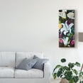 thumbnail image 3 of Trademark Fine Art 'Baroque Flower Triptych I' Canvas Art by Sandra Iafrate, 3 of 4