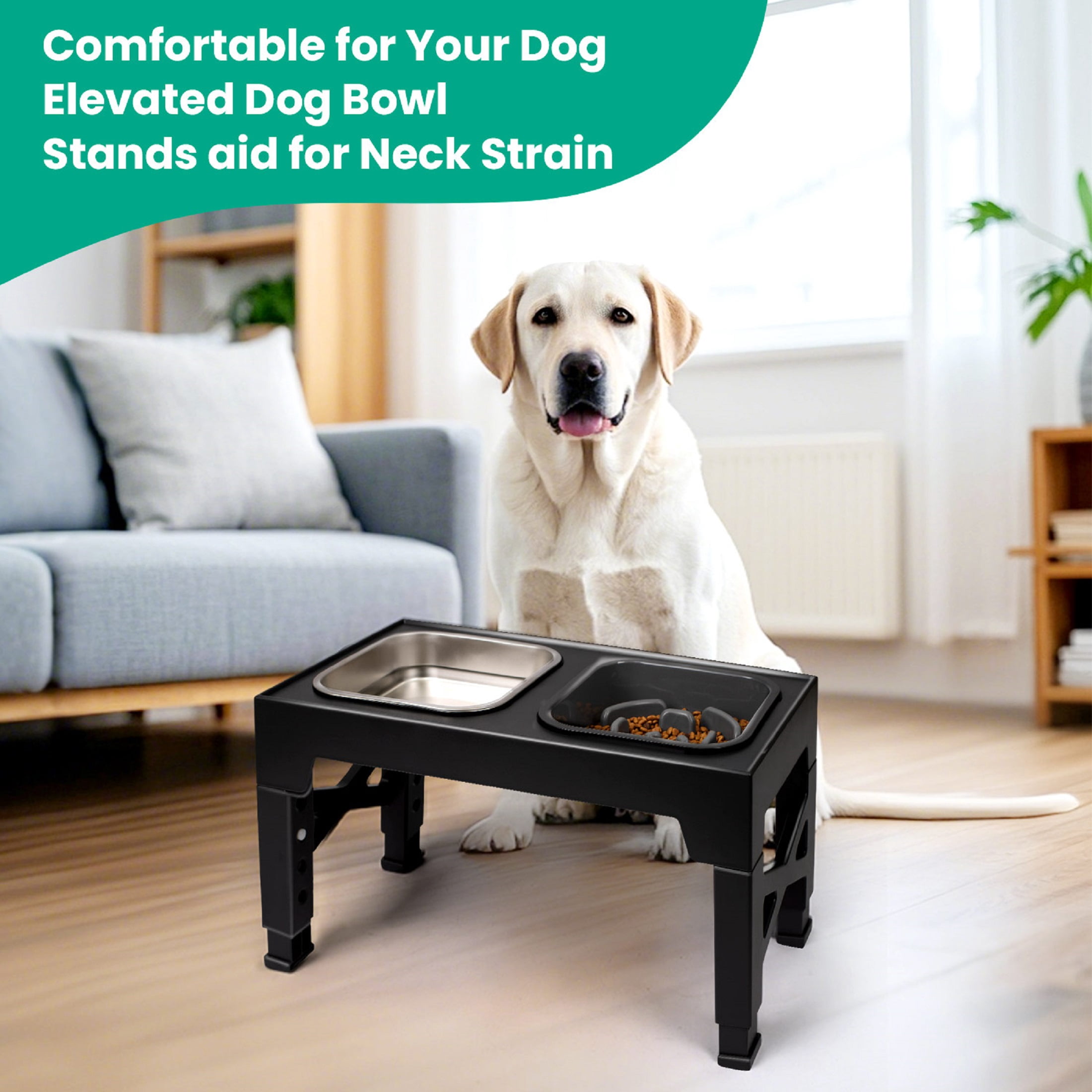 Elevated Dog Bowls, 2 Stainless Steel Dog Food Bowls, Raised Dog Bowl Adjusts to 5 Heights for Small Medium and Large Dogs,Black