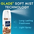 thumbnail image 2 of Aerosol Air Fresheners - Cashmere Woods - 7.3oz: Paraben-Free, Phthalate-Free, Spring/Summer, Disposable, 2 of 5