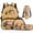 Tropical Pineapple Capybara, variant on Bulopur Girls 17 Inch Backpack Set 4 Piece Pink Capybara Print School Bookbag with Lunch Box, Water Bottle Holder and Pencil Case for Toddler Girls