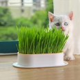 thumbnail image 3 of 1PCS Cat Grass Planter Pot, Dark Green Standard Size Wave Design Catnip Growing Kit, No Seeds Included, 3 of 5