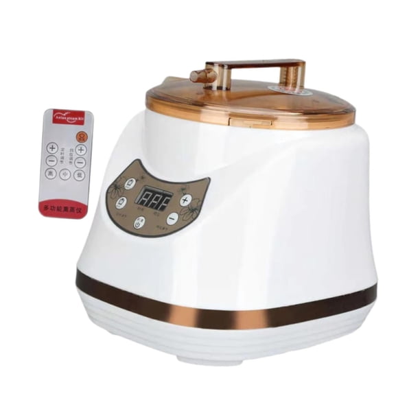 Máquina de vapor para fumigación de sauna, generador de vapor portátil 3.0L