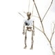 thumbnail image 3 of Colgante de esqueleto de Halloween blanco, colgante de esqueleto humano, 3 of 7