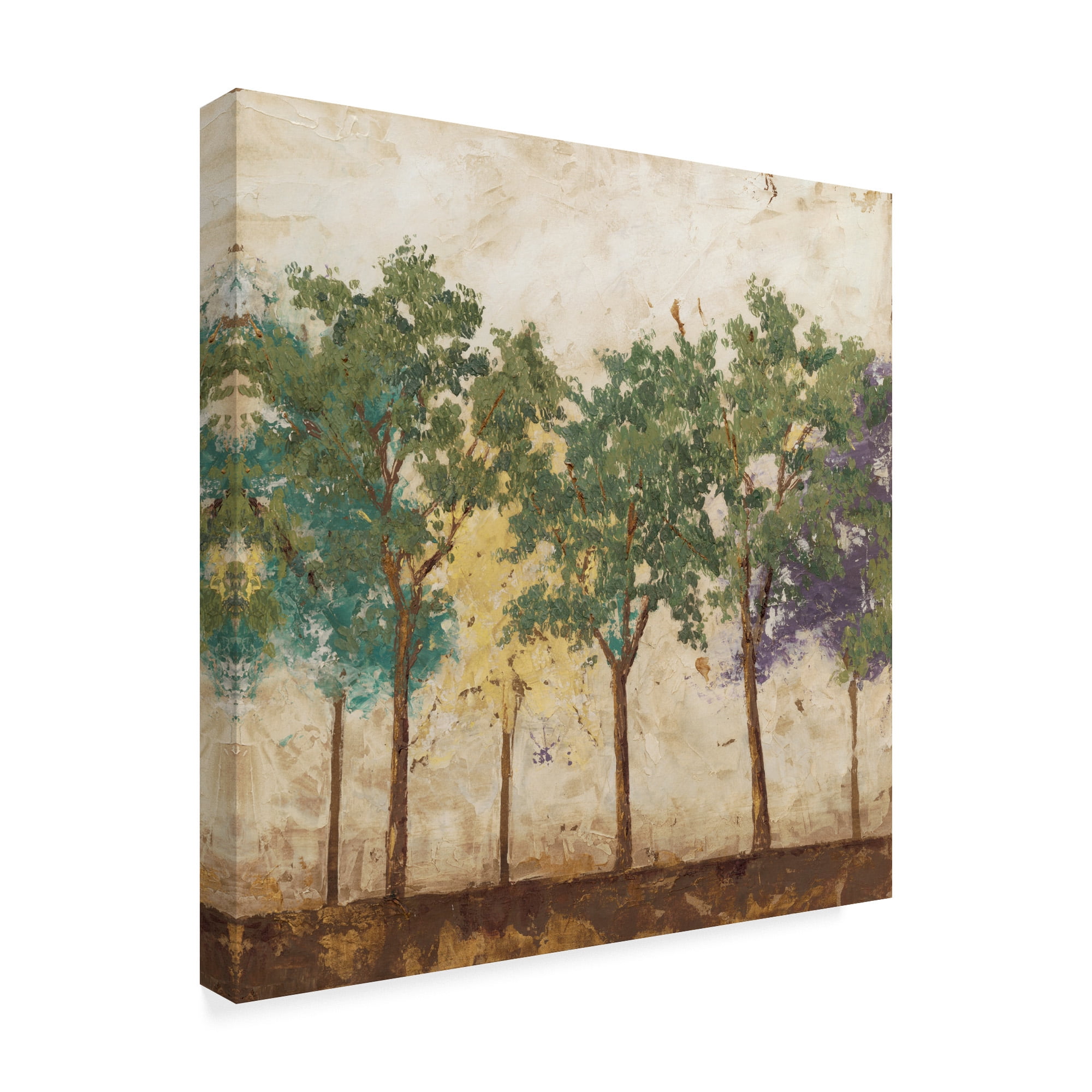 Trademark Fine Art 'Arbor Discourse I' Canvas Art by Megan Meagher
