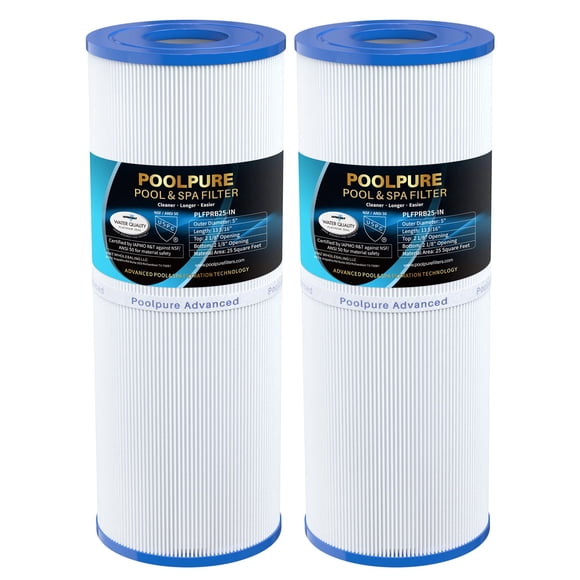 Filtro para bañera de hidromasaje POOLPURE PLFPRB25-IN Sustituye C-4326, paquete de 2