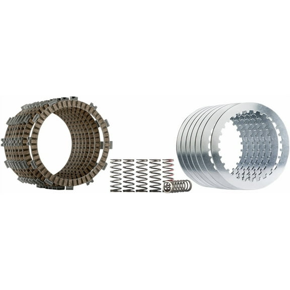 Hinson FSC154-8-001 Clutch Plate and Spring Kit