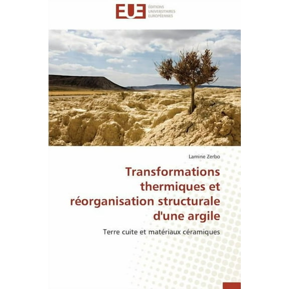 Transformations thermiques et r?organisation structurale d'une argile