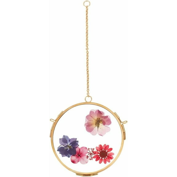 Wall Hanging Mini Photo Frames 3.7 Inch Double Glass Picture Frame with Chain Oblate Brass Frame Vintage Artwork Display Frames for Pressed Flowers Pictures Home Wall Clear DIY