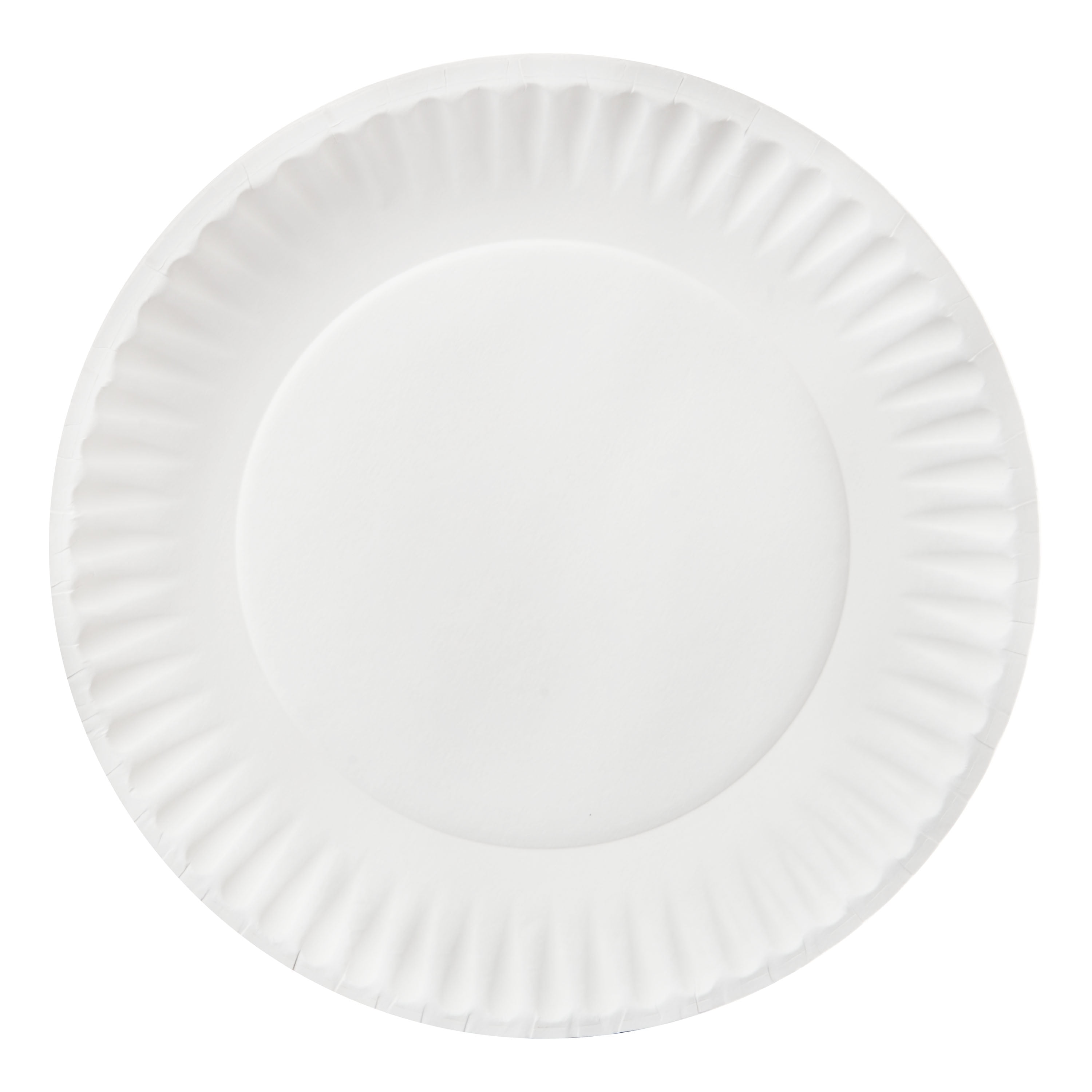 300 PACK] White Disposable Paper Plates 6 Inch by EcoQuality - Perfect for  Parties, BBQ, Catering, Office, Event's, Pizza, Restaurants, Recyclable,  Compostable and Microwave Safe 