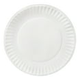 Great Value Uncoated Paper Plates, 9", 300ct