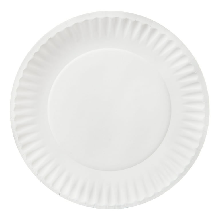 100 Count 9-Inch Paper Plates Uncoated Disposable Dinner Plates White