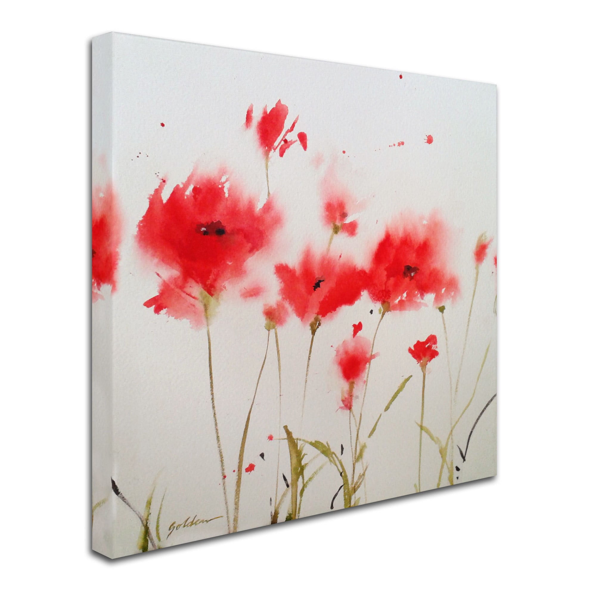 Trademark Fine Art "A Poppy Moment" Canvas Art by Sheila Golden