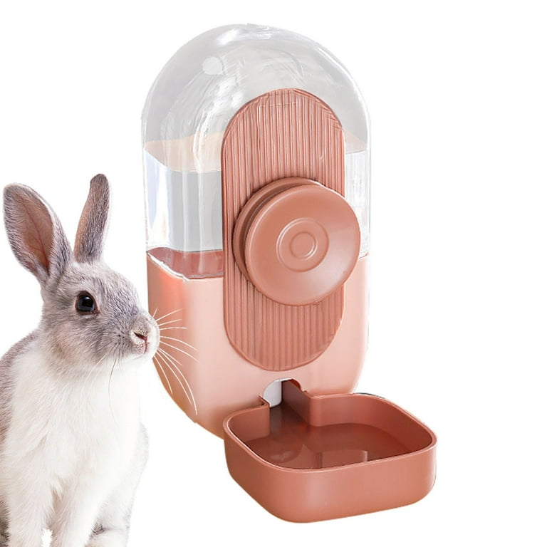 Bunny water dispenser 2025
