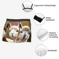 thumbnail image 3 of Pofeuu Cute Alpaca in Daze Print Men’s Boxer Briefs, Moisture-Wicking Underwear, Regular,Trunk-Small, 3 of 5