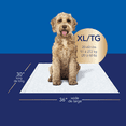 thumbnail image 2 of Scott Pet Guard Advanced Dog Pads - Dog Training Pee Pads for Puppies, Medium & Large Dogs - XL - 30" x 36" - 40 pack, 2 of 4