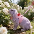 thumbnail image 4 of FHBVT Rabbit Harness Leash Set 8.66In Vest Style Breathable Mesh Adjustable Straps Fast Drying Pressure Disperse for Rabbits Guinea Pigs Small Pets Outdoor Walking Pet Supplies Decor, 4 of 6