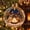 J, variant on CSSAD Christmas Decorations - Light Up Christmas Ball Ornaments, Clear Mini Holiday Scene Hanging Decorations with Warm LED Lights, Glowing Christmas Story Ornament Balls for Christmas Tree
