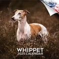 thumbnail image 1 of Calendario Whippet 2024 2025 – Calendario de pared mensual de raza de perro – 12 x 24 abierto – Papel grueso sin sangrado – Regalable – Calendario académico para profesores organización y planificació, 1 of 5