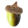 thumbnail image 2 of Acorn Decor,Simulation Artificial Lifelike Small Acorn with Natural Acorn Cap,Lightweight Faux Acorn Accents,Reusable Realistic Acorn Decoration,Lifelike Fake Acorn Prop for Table,Vase,Holiday, 2 of 4