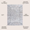 thumbnail image 4 of JONATHAN Y WASHABLE 5 x 8 Area Rug, Brandy Rustic Border - Light Gray/Blue, WSH321B-5, 4 of 10